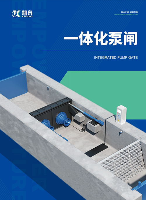 一體化泵閘